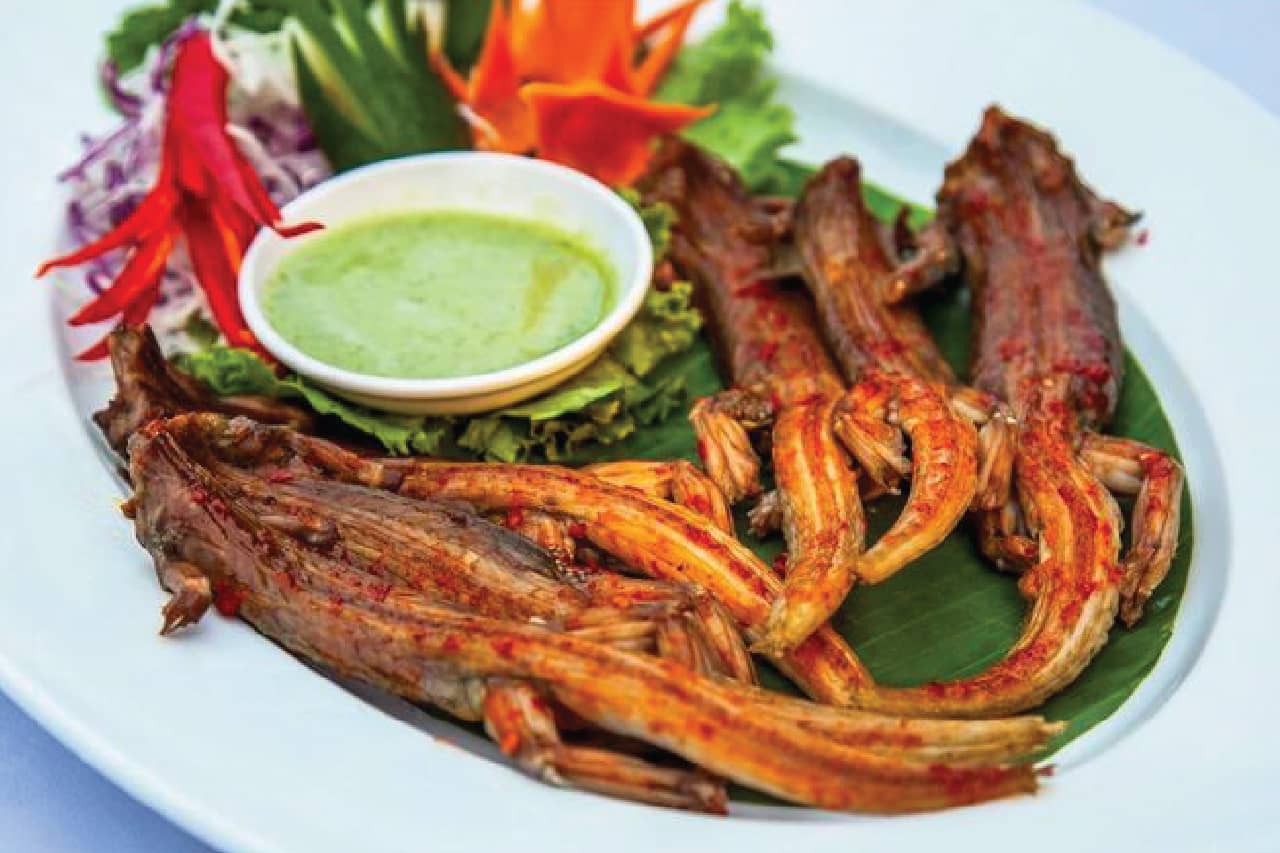 món dông cát thằn lằn núi