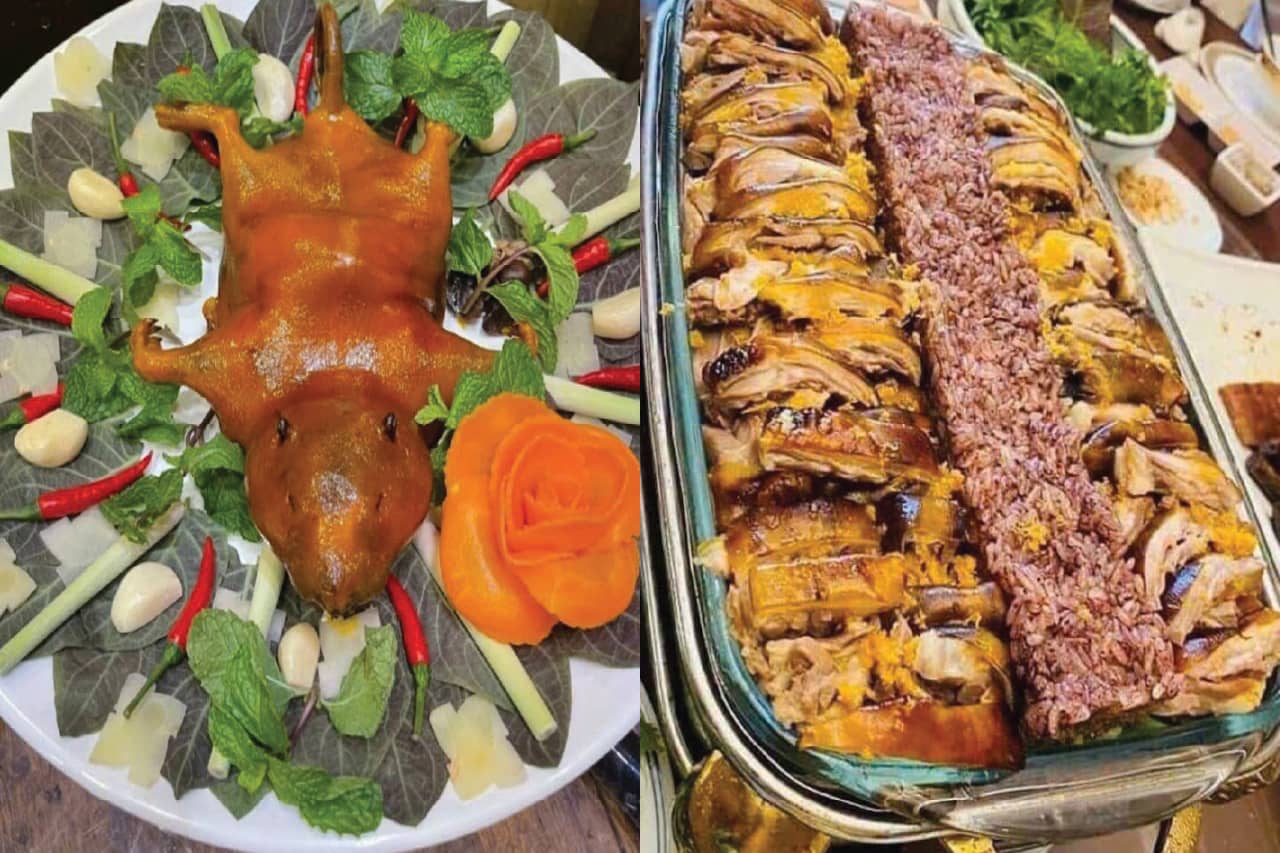 món dúi rừng trường sơn